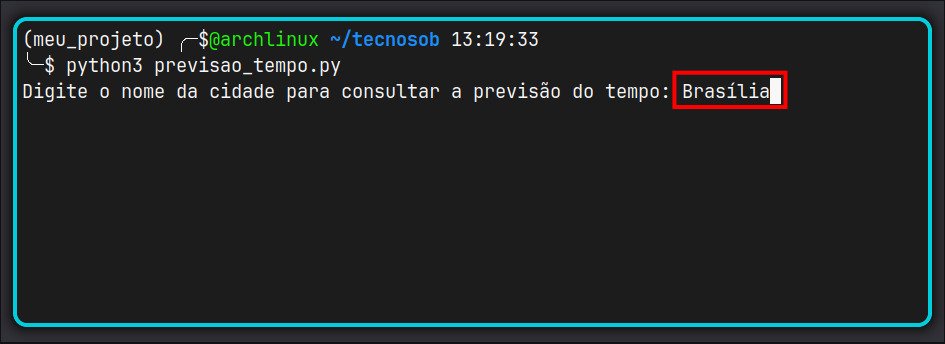 Mostrando o funcionamento do programa em Python com input