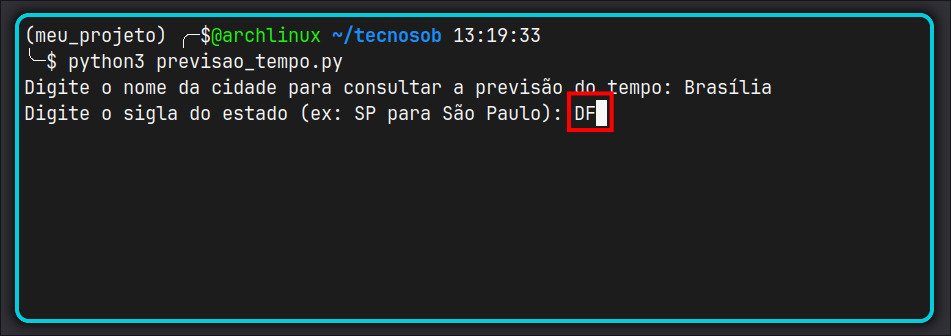 Mostrando o funcionamento do programa em Python com input do usuário